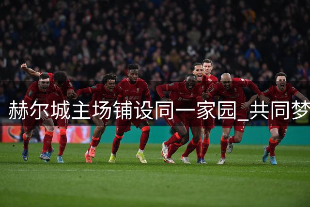 赫尔城主场铺设"同一家园 共同梦想"标语庆贺英超回归