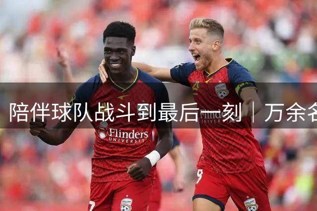 陪伴球队战斗到最后一刻｜万余名球迷助阵“东北超”常规赛阶段冰城主场收官战